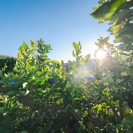 Relax Villa Sarandë